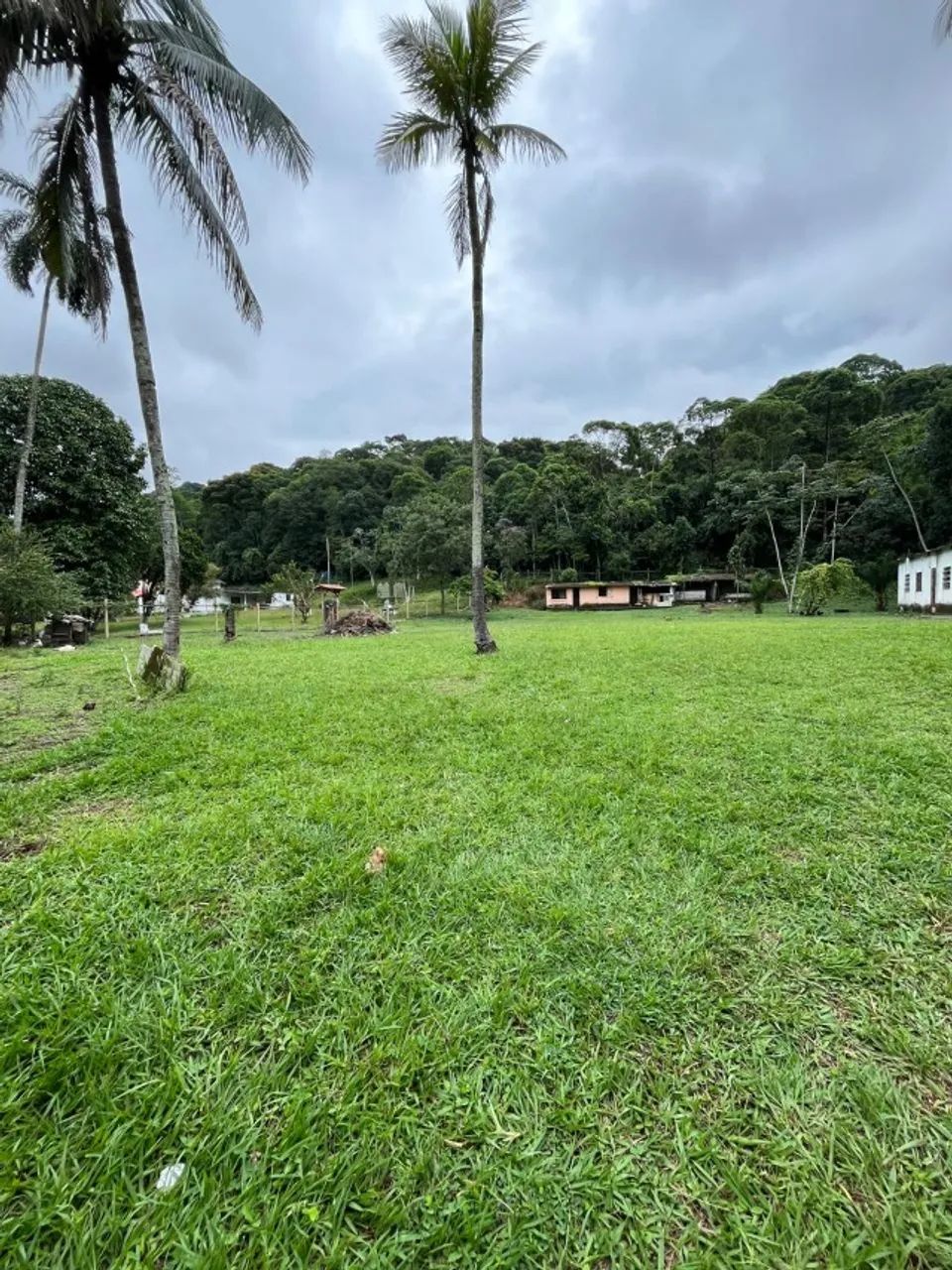 Sítio em Barão de Guandu - Foto 9