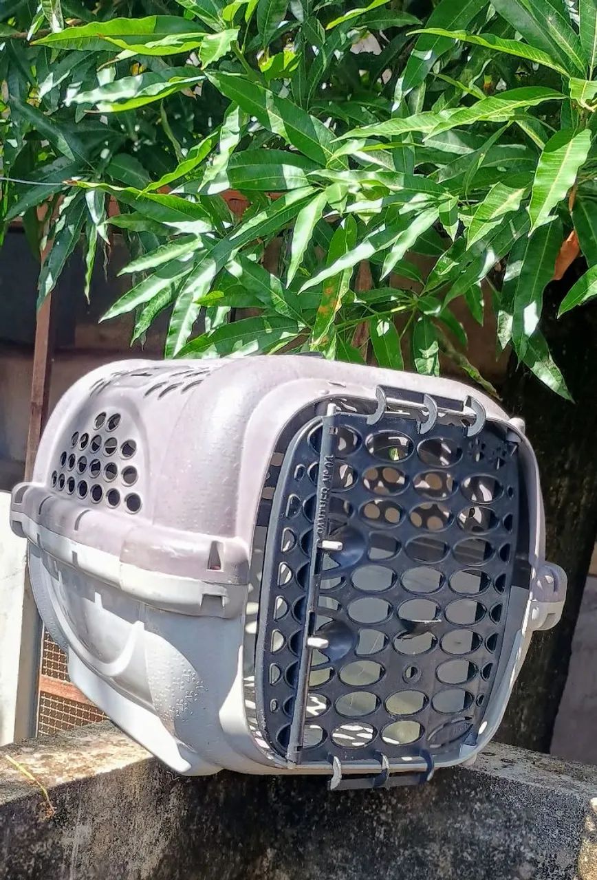 Caixa de transporte para Pets.  - Foto 4