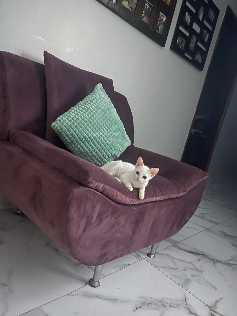 Armchair(s)65580435072386124