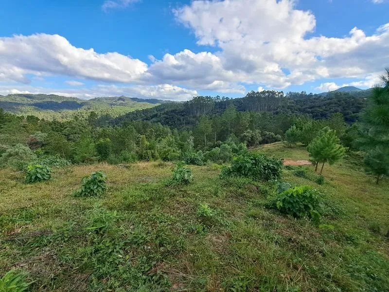 Lote rural DOUTOR PEDRINHO - SC - Foto 3