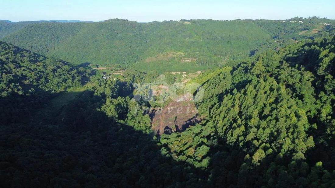 SÍTIO EM NOVA PETRÓPOLIS / RS - Foto 3