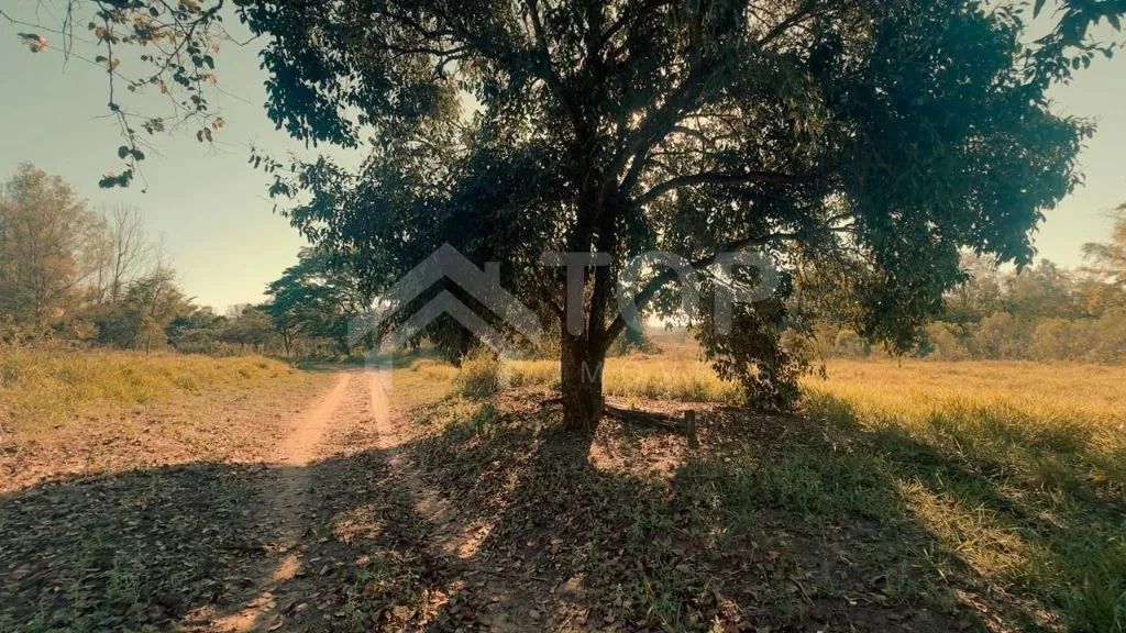 Chácara à Venda em Analândia-SP - Foto 5