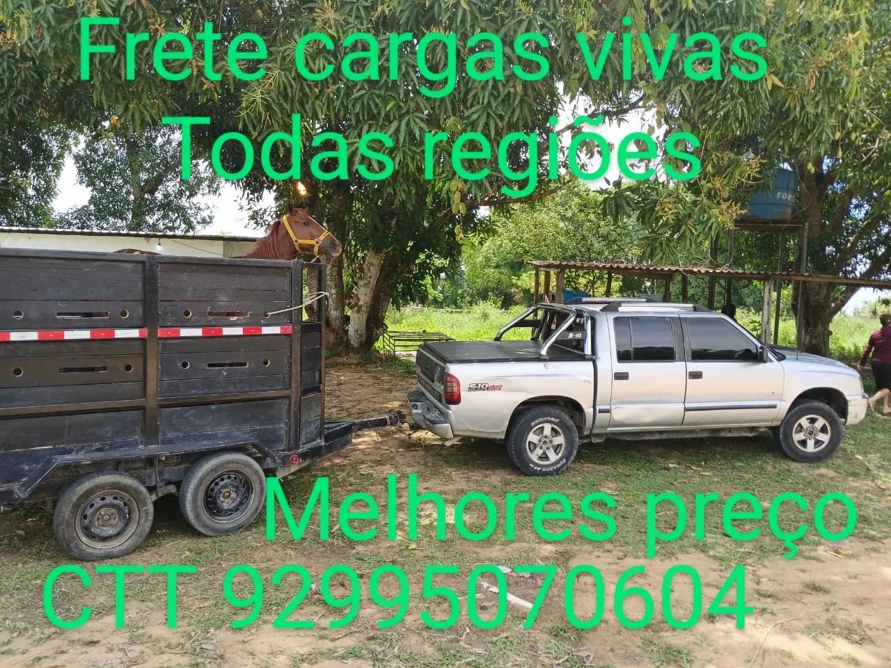 Frete carga viva melhores preços  - Foto 3