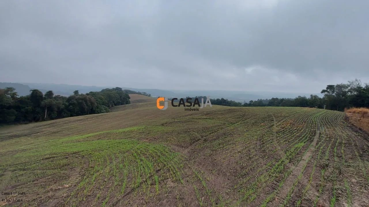 CHACARA RURAL em LAPA - PR, Itabaúna