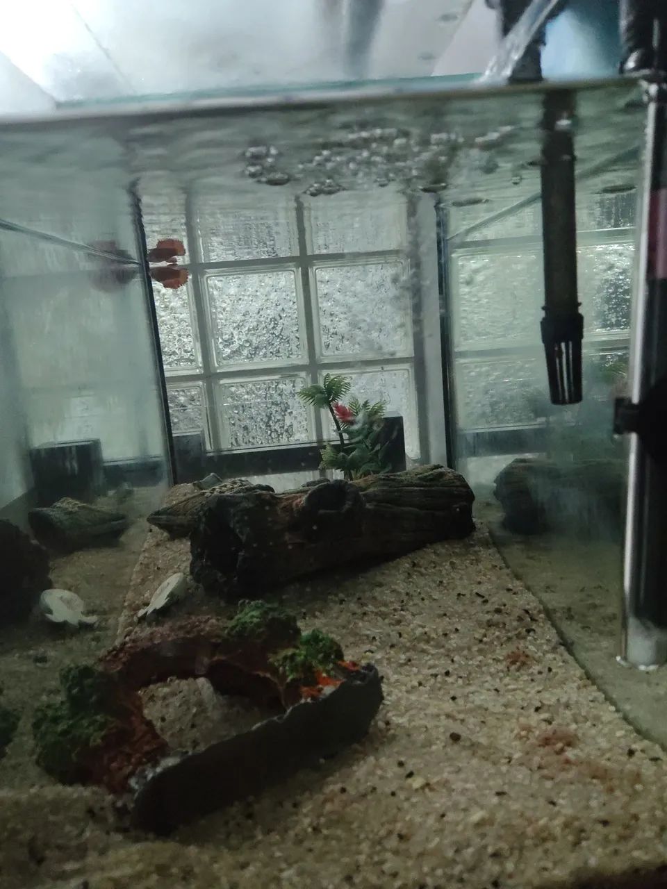 Aquário para peixes de 70 litros. - Foto 2