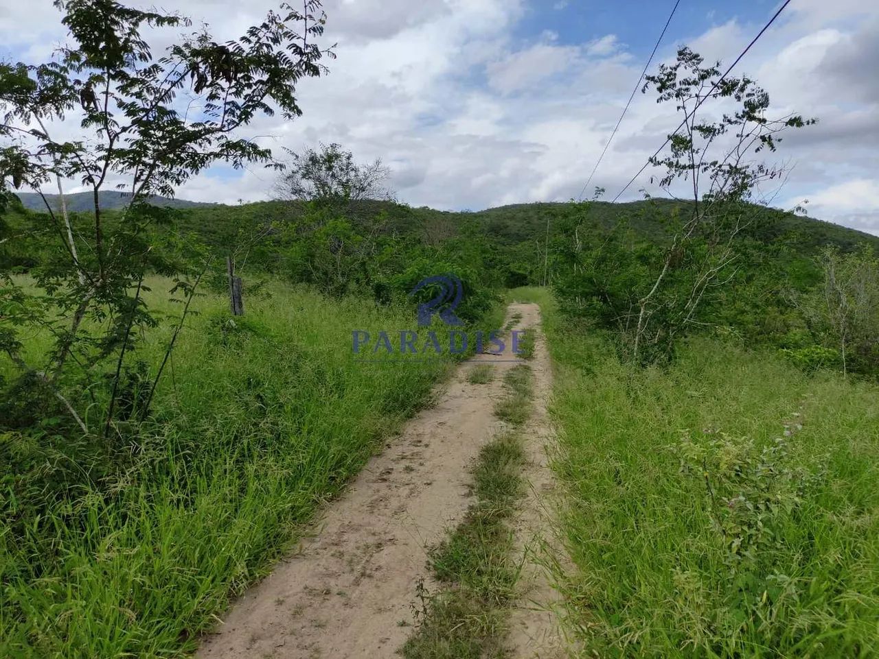 Fazenda,1.013 ha Zona Rural de Jequié, - R$ 8 mi cod.68942
