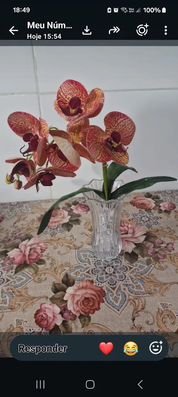 Orquídea