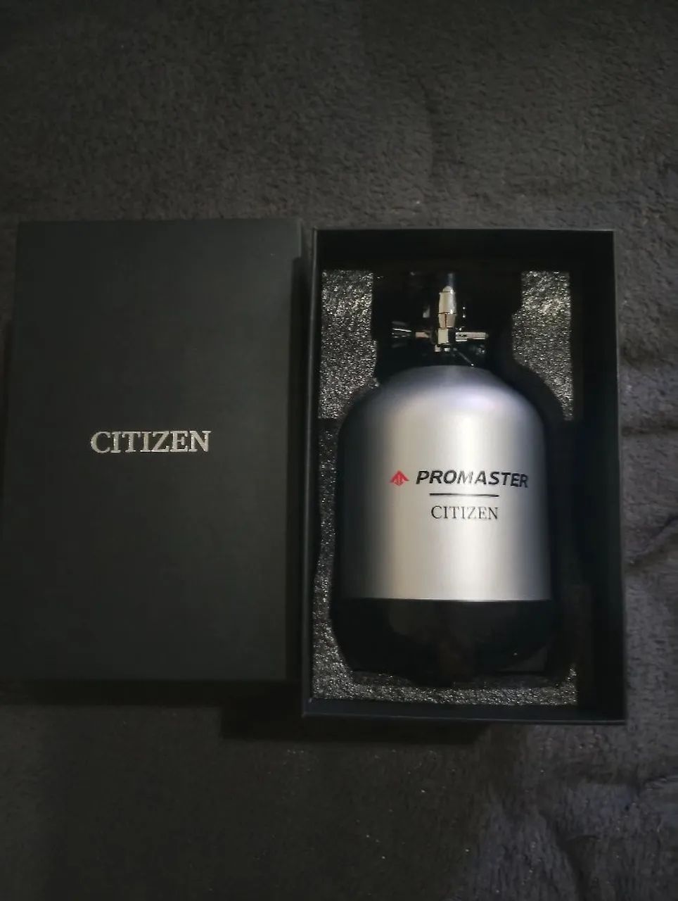 Citizen Aqualand Jp 2007 - Foto 4