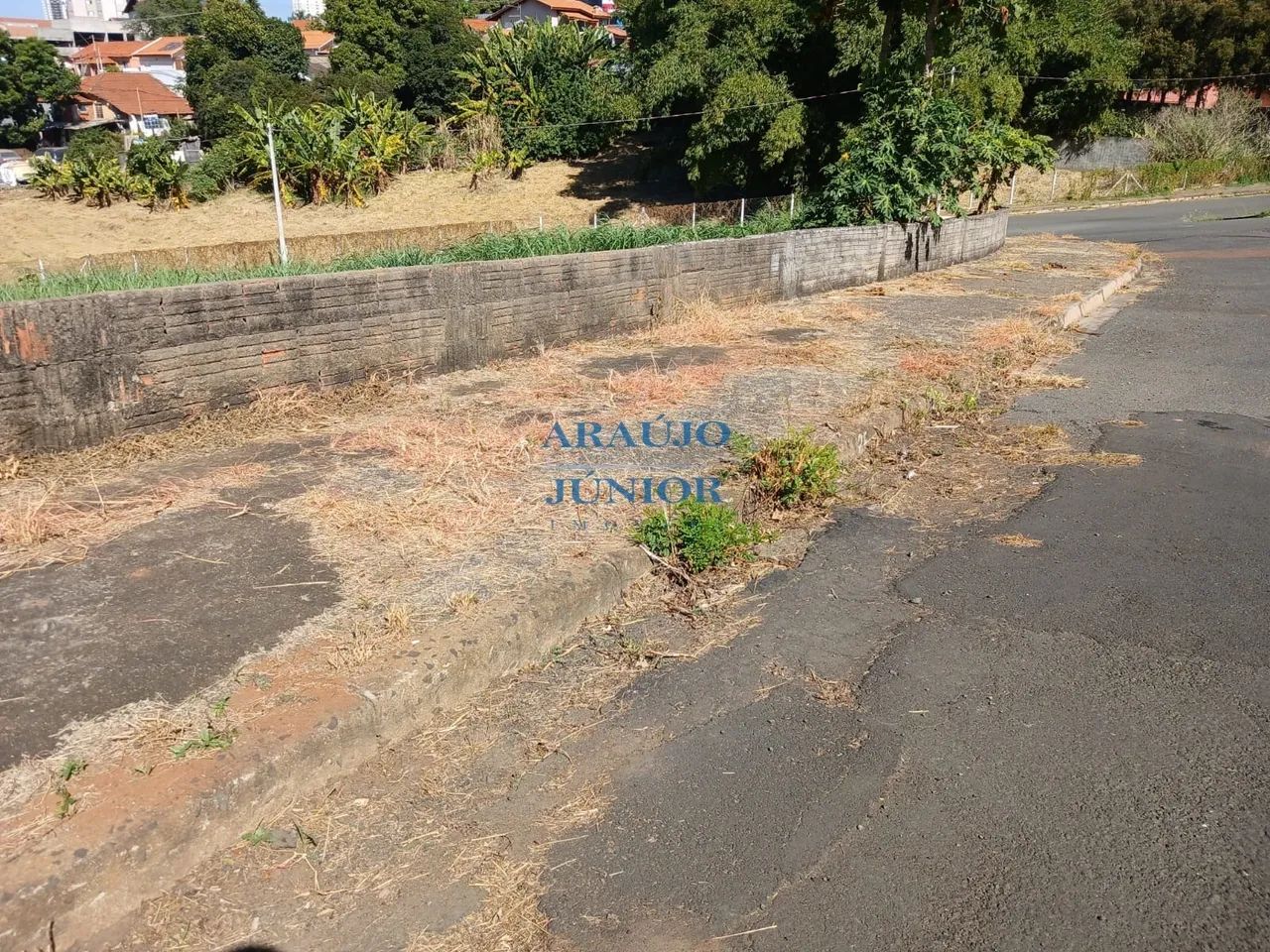 TERRENO CENTRO - Foto 8