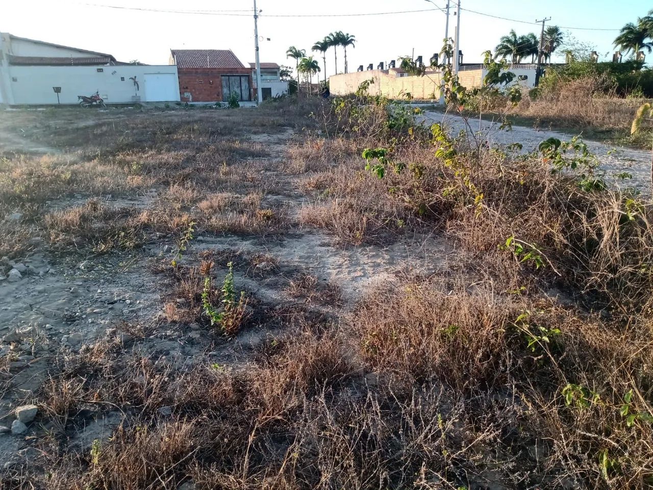 Terreno Loteamento Parque Dom Pedro  - Foto 3