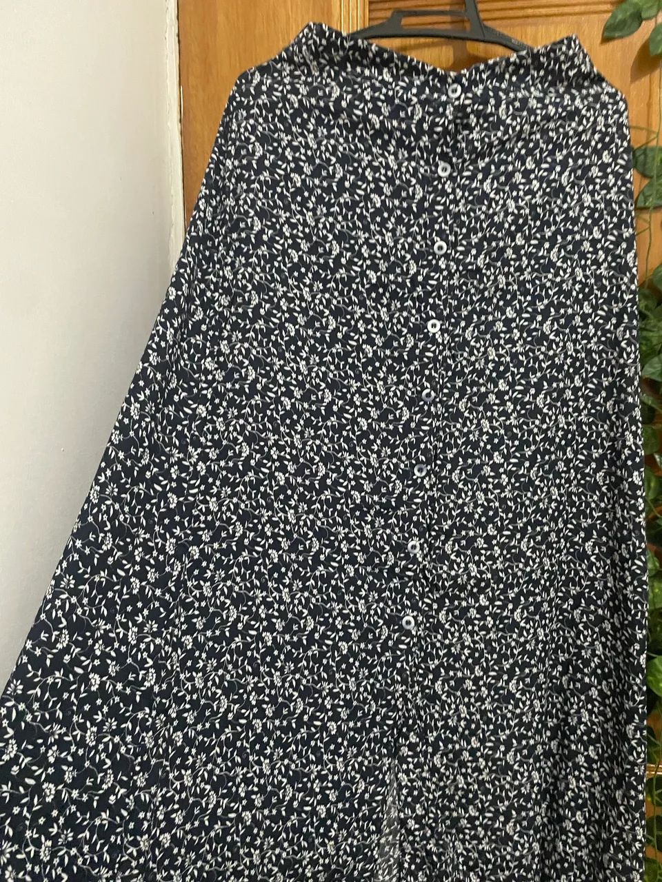 Saia longa  - Foto 2