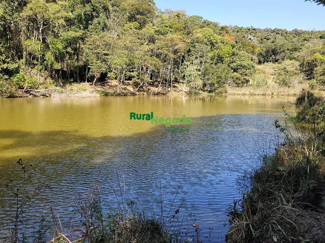 FAZENDA COM PLANTAÇÃO DE EUCALIPTOS EM BRAZÓPOLIS-MG - Foto 4