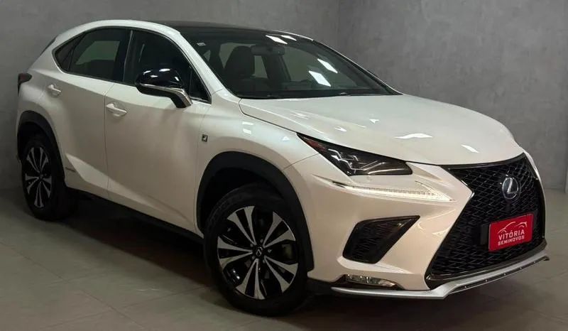 Lexus NX-300 H F-sport 2.5 16V Aut., foto 3 de 19