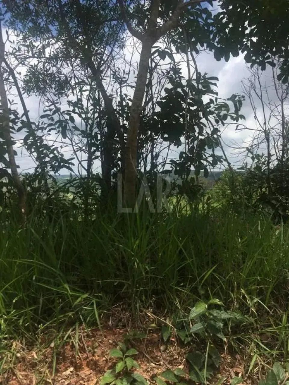 Fazenda - Sítio à venda, Faria - Barbacena/MG - Foto 8