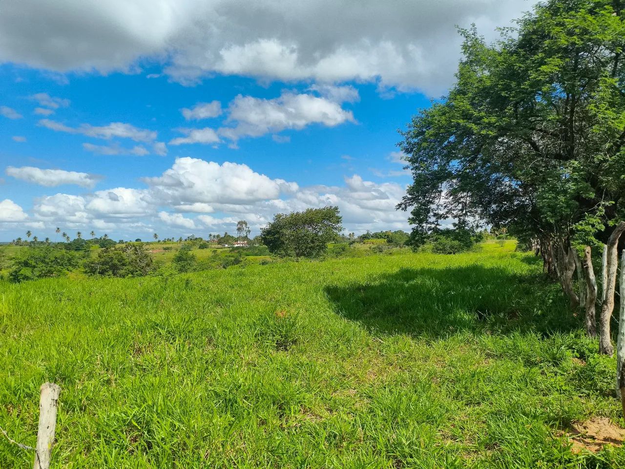 Oportunidade Única: Terreno Amplo com 6 Tarefas e minantes 