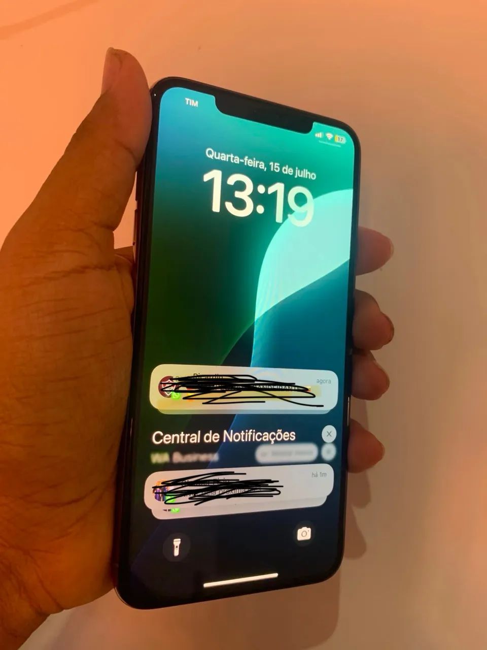 Xs Max 256Gb
