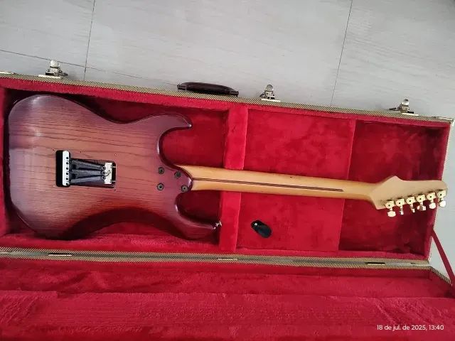Ibanez japonesa - Foto 4