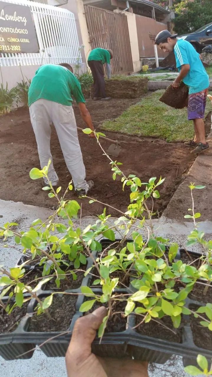 Jardineiro pinhais e região * - Foto 2