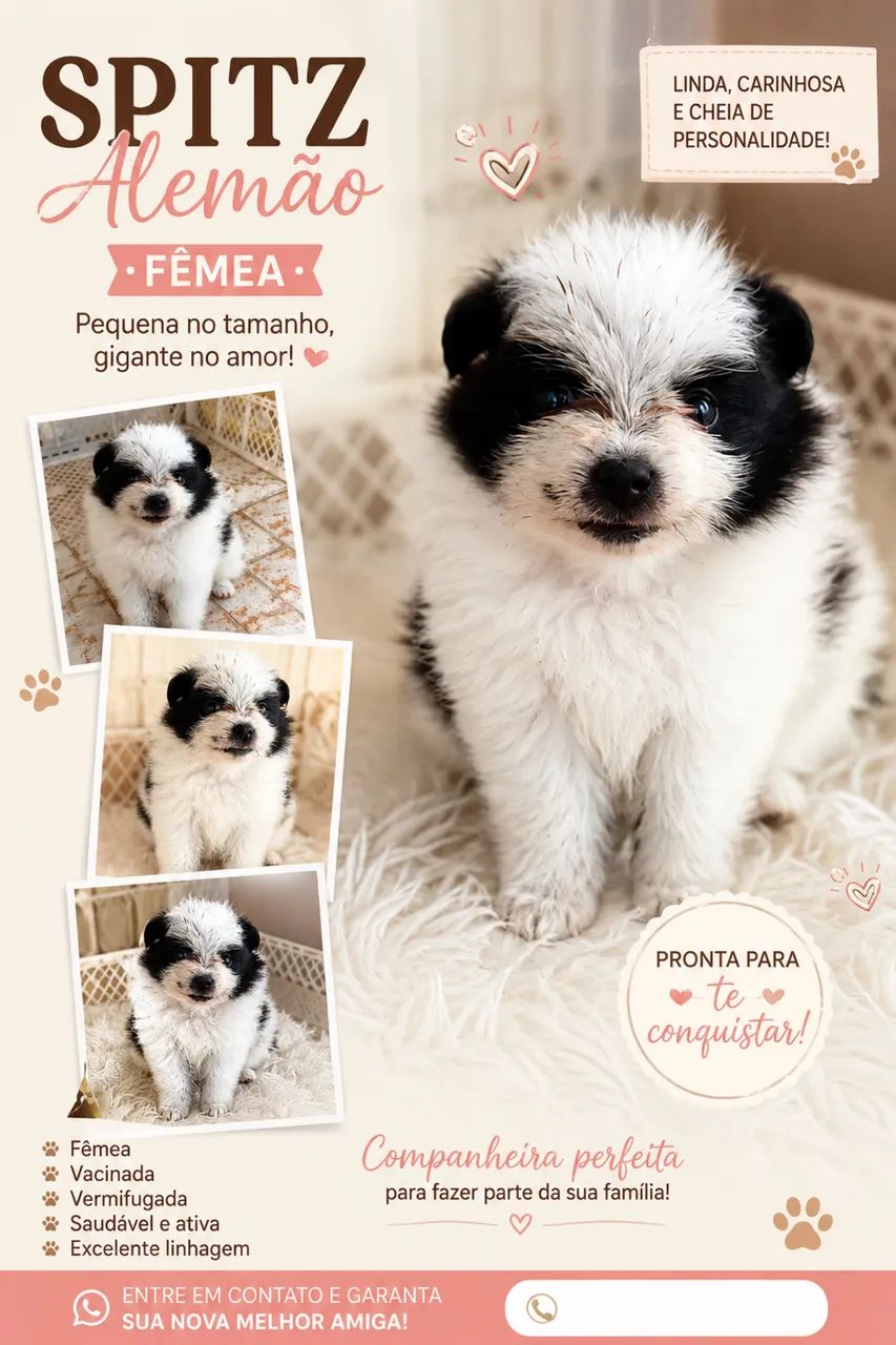 Cães  - Foto 2