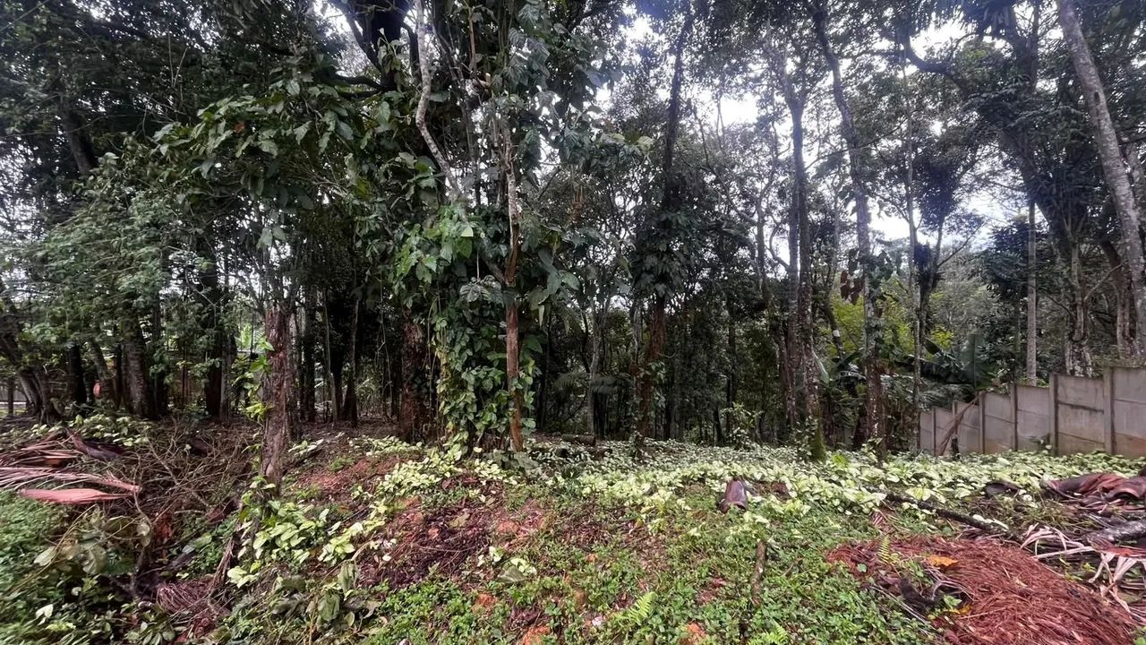 Terreno em condomínio fechado  - Foto 2