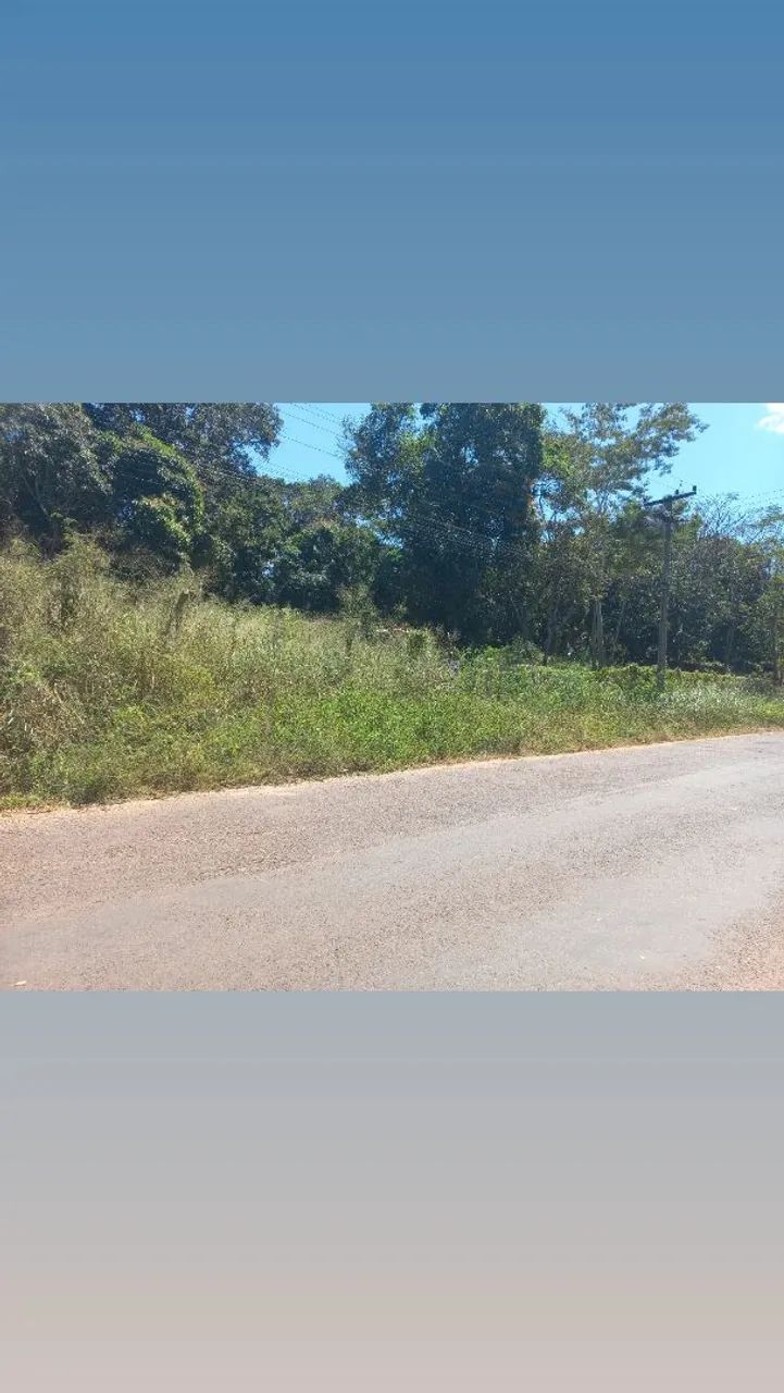 SÍTIOS  E  FAZENDAS - Foto 5