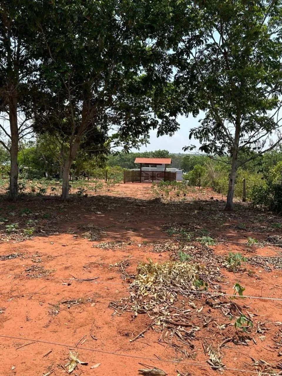 TERRENO NO MANSO - Foto 2