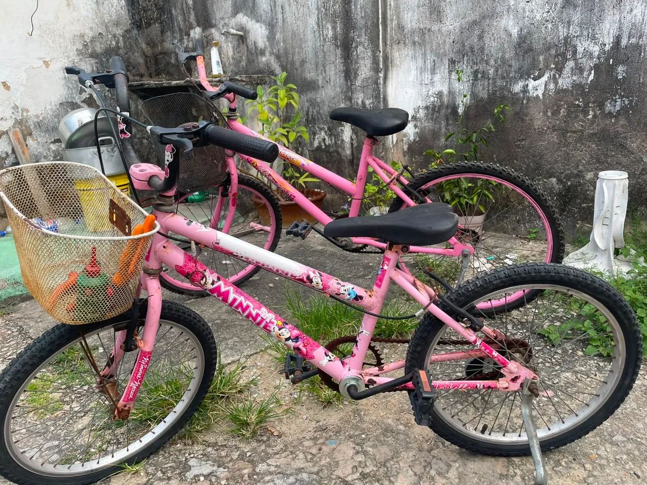 Boas precisa de um trato! - Foto 3