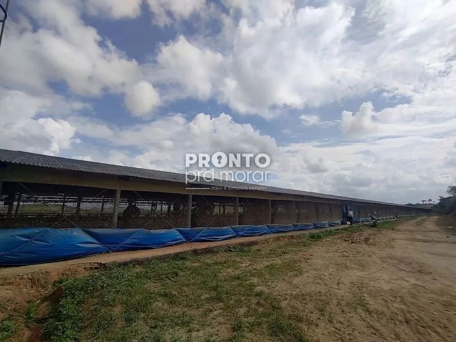 Fazenda/Sítios/Chácaras com 4 quartos em Alto José Leal - Foto 3