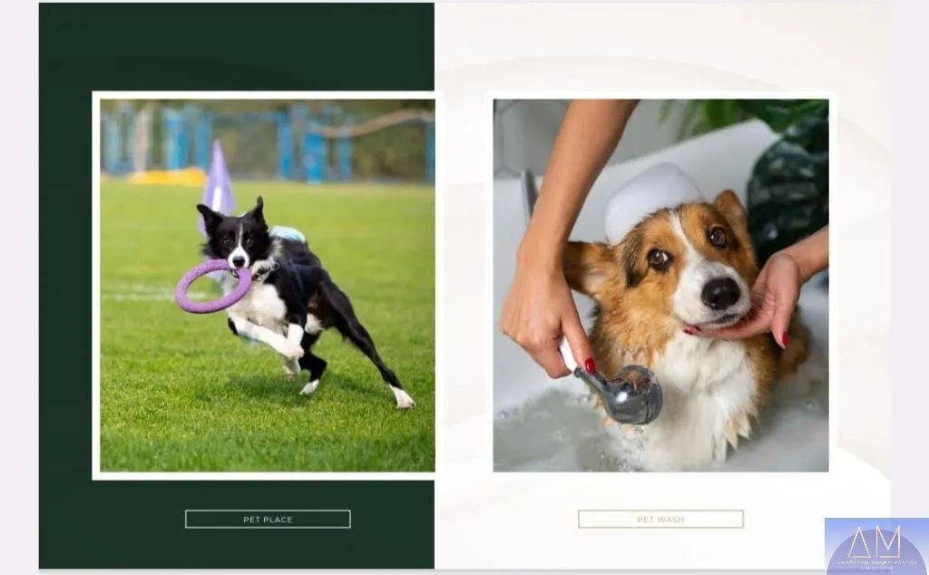 Apartamento à Venda em Casa Amarela - Foto 5