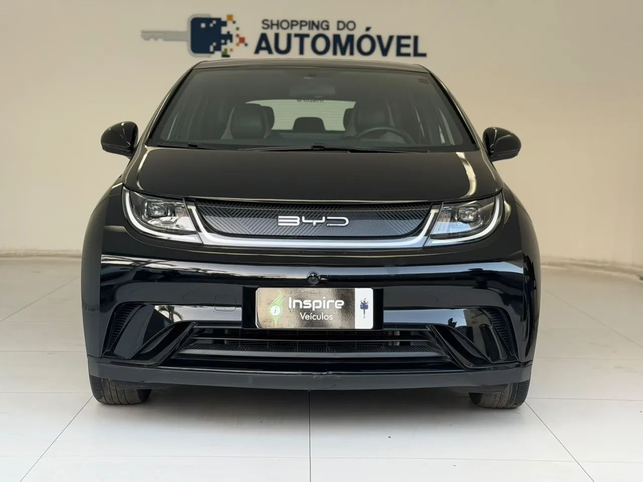 BYD Dolphin EV (Elétrico) 2024 - Foto 2