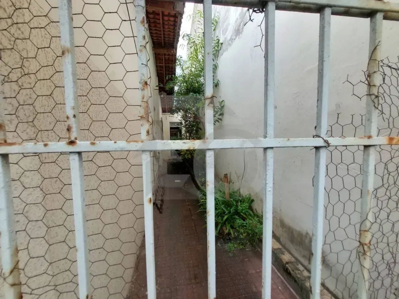 Imóvel no Salgado Filho com 3 Quartos, Quintal Amplo e 4 Vagas - Foto 3