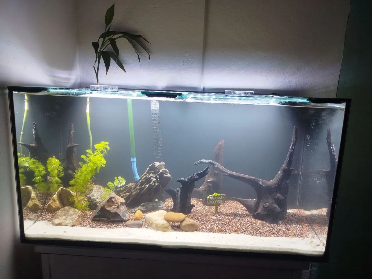 Aquário 200 L Completo