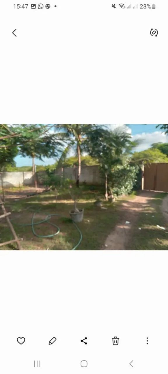 Vendo ou troco/ granja  - Foto 3