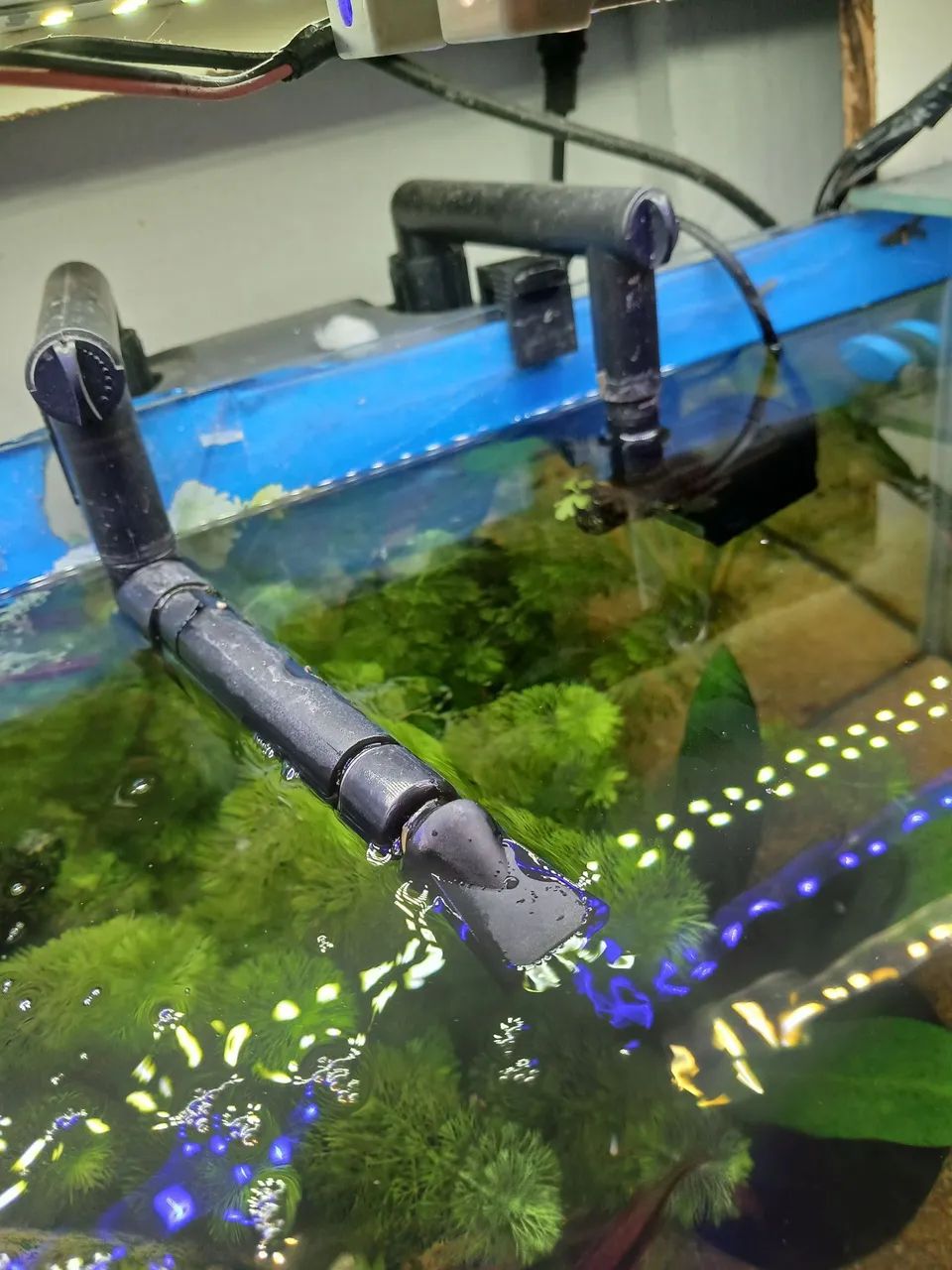 Aquário 80 L  - Foto 2