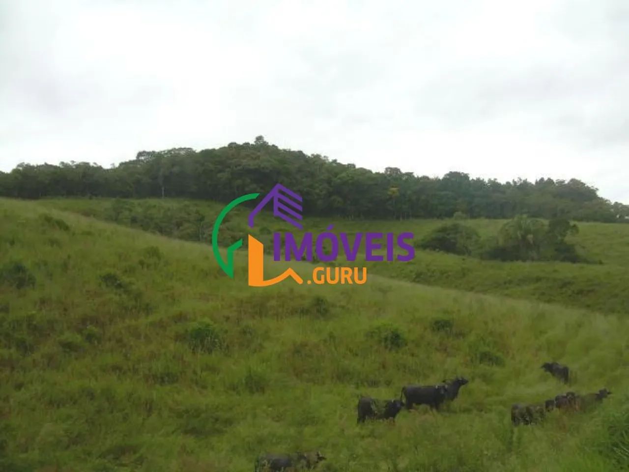 AREA - PARQUE SANTA ROSA - SP