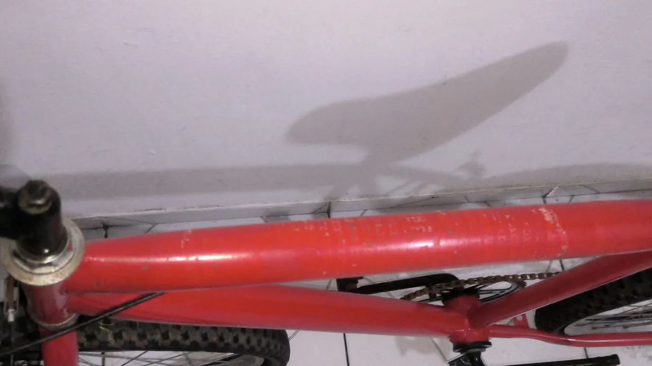 Bicicleta  - Foto 2