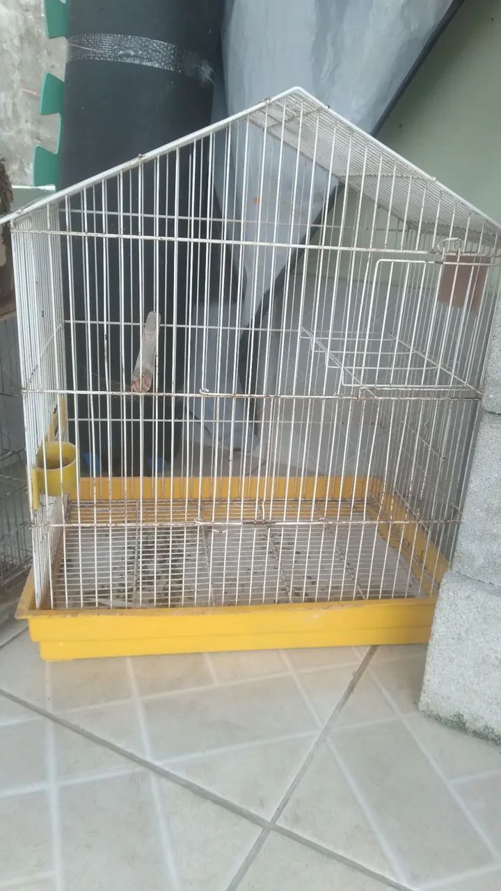Gaiolas