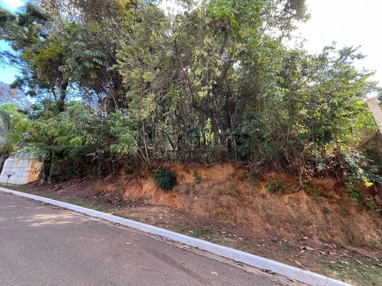Terreno à Venda no Vale das Araras - Nova Lima - Foto 4