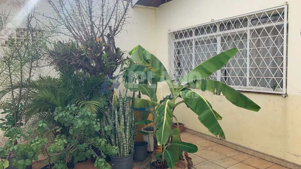 CIdade Jardim 3 dormitorios com suite - Foto 3