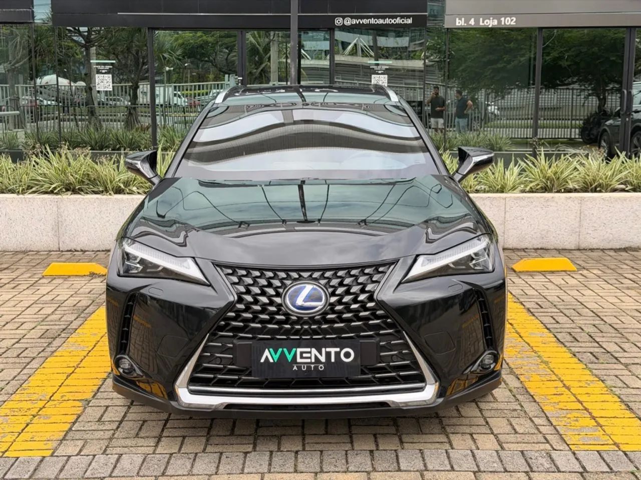 Lexus UX-250h Luxury 2.0 16V Aut.(hybrid), foto 2 de 20