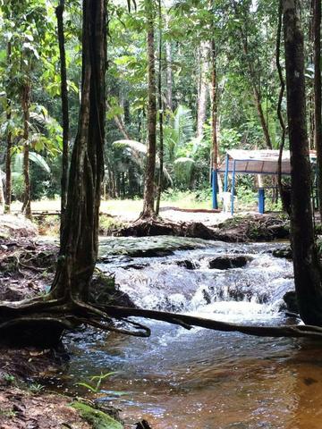 Fazenda em Presidente Figueiredo próximo cachoeira Urubui - Foto 17