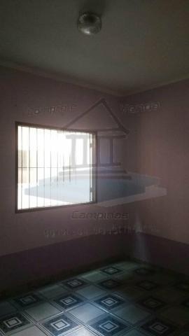 Casa para alugar com 3 dormitórios em Jardim santa amália, Campinas cod:CA05380 - Foto 16