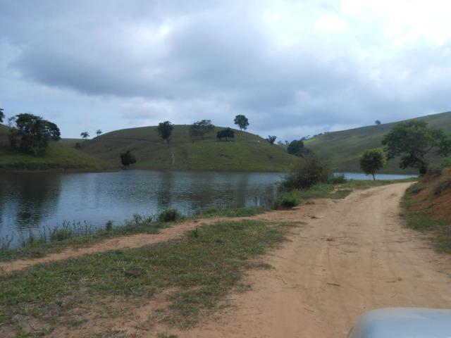 Fazenda de pecuária - Foto 2