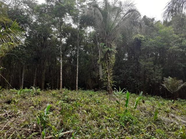 Chacara com 6,156 mts - Foto 9