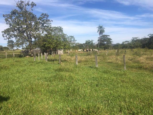 Sítio na Comunidade Carrijo à 60 Km do Trevo do Lagarto - Foto 6