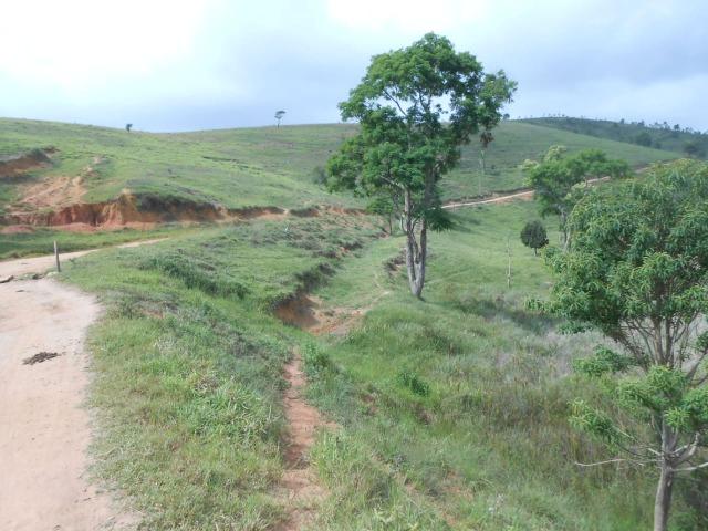 Fazenda de pecuária - Foto 8