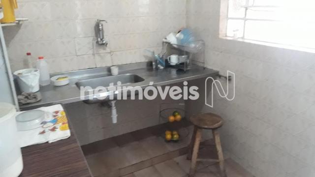 Casa à venda com 5 dormitórios em Novo glória, Belo horizonte cod:766818 - Foto 13