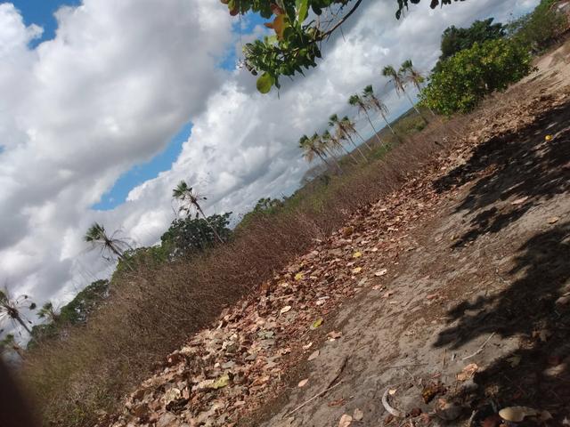 Terreno de 58 hactares com casa - Foto 3