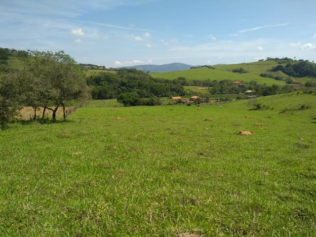 Fazendinha com 38 mil metros quadrados casinha antiga reformada - Foto 5
