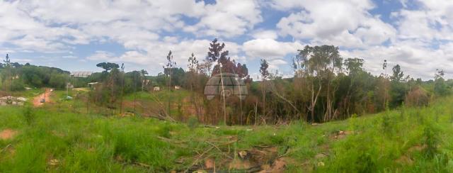 Chácara à venda em Ferraria, Campo largo cod:149101 - Foto 4